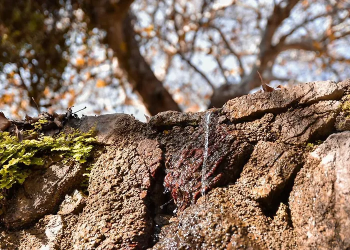 Ioli's * Archangelos (Rhodes)