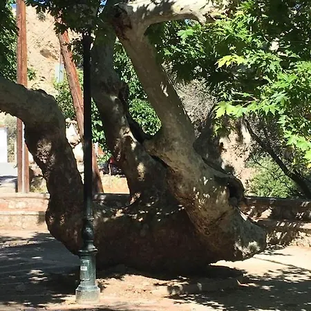 Сasa de vacaciones Ioli's Archangelos (Rhodes)