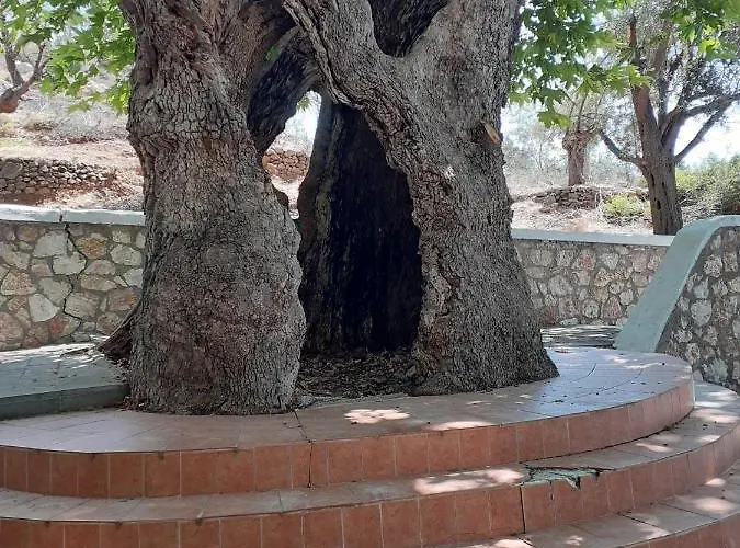 Ioli's * Archangelos (Rhodes)