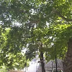 Ferienhaus Ioli's