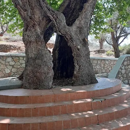 Ioli's * Archangelos (Rhodes)