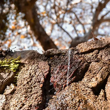 Ioli's * Archangelos (Rhodes)