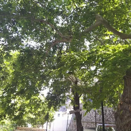 Prázdninový dům Ioli's