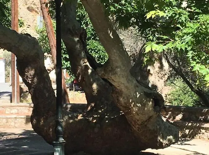 Dom wakacyjny Ioli's Archangelos (Rhodes)